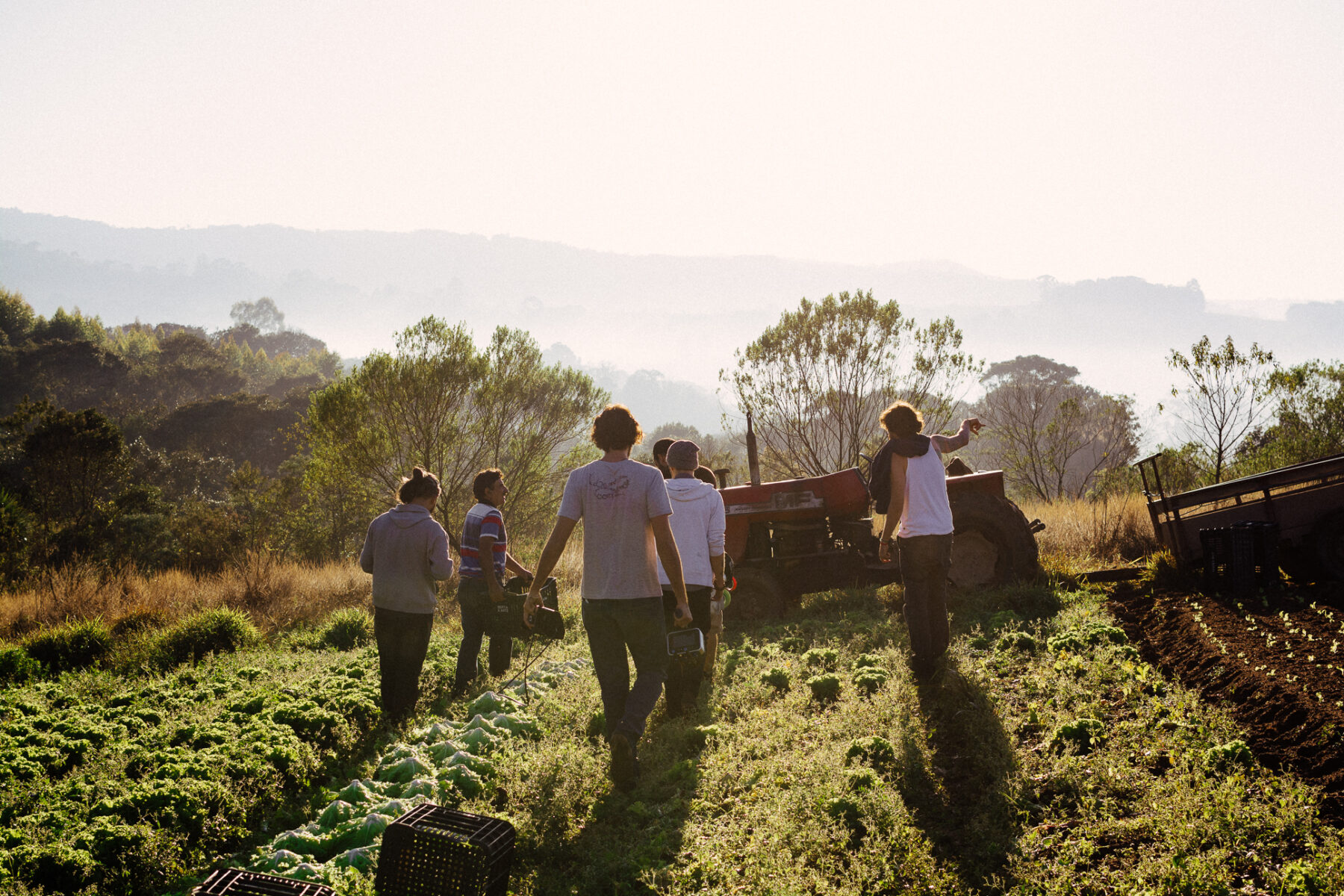 Foodtech conecta consumidores a pequenos produtores rurais e cria fundo gerido por eles para incentivar o desenvolvimento da cadeia