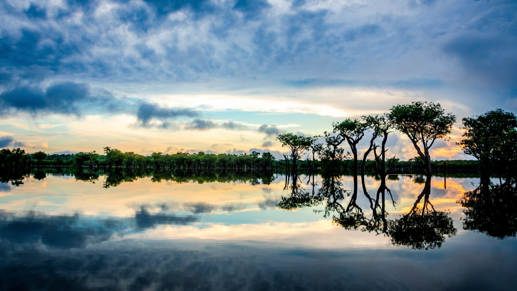 Em busca do caminho do meio: como manter floresta em pé e impulsionar desenvolvimento por meio das riquezas naturais da Amazônia