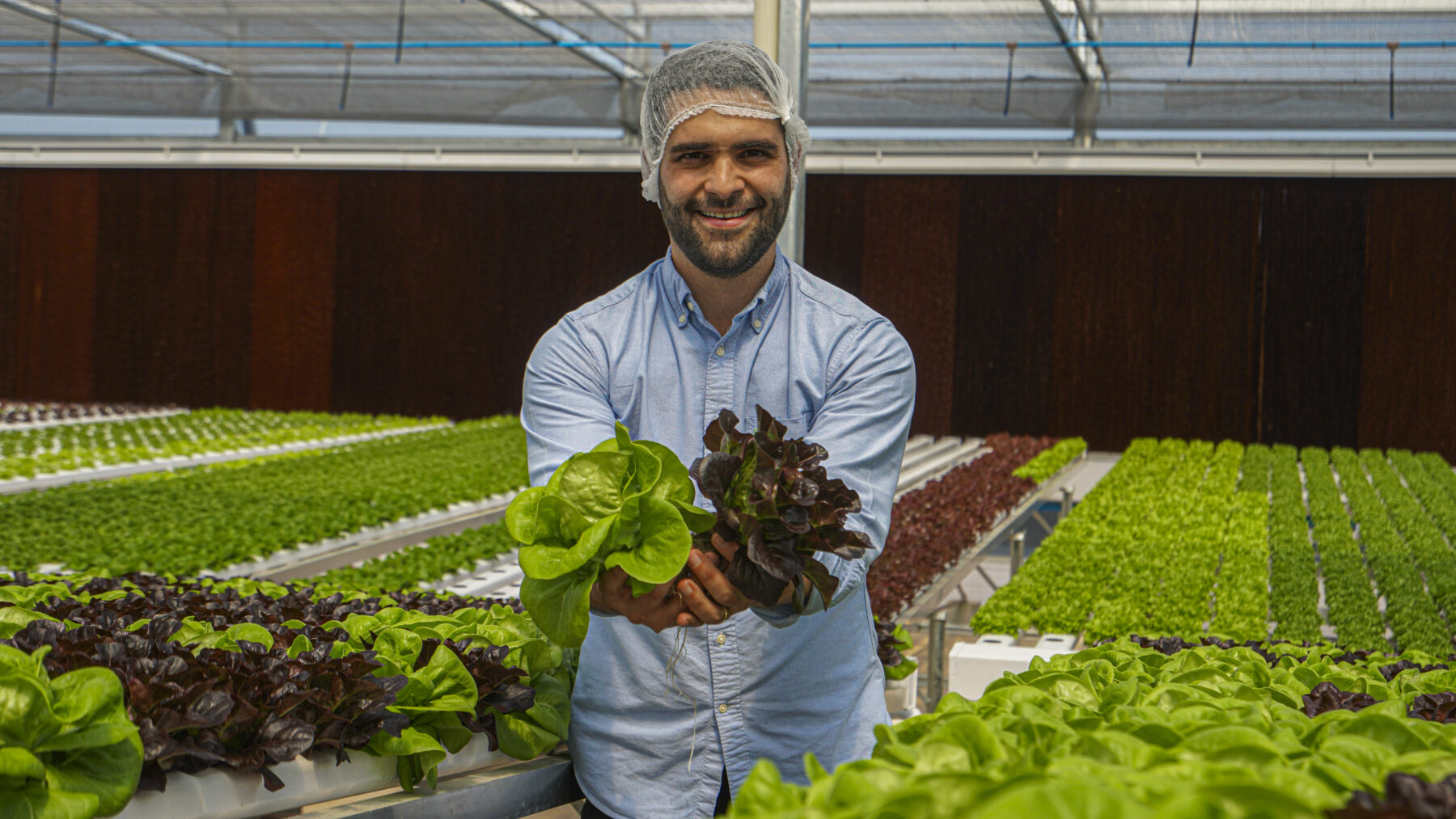 Com fazendas urbanas em corporações, BeGreen incentiva cultivo sustentável: “Temos tudo para nos tornar empresa internacional”