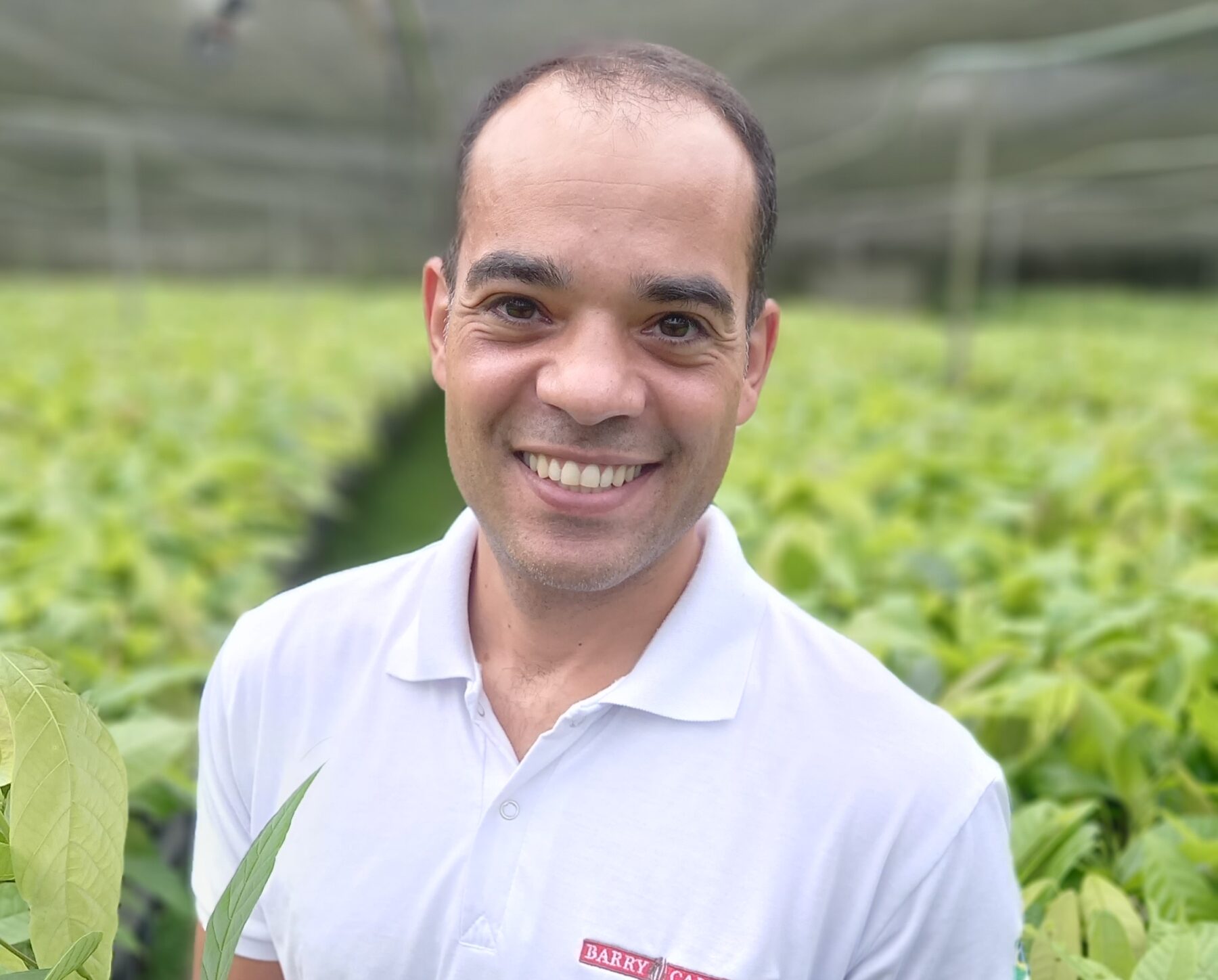 Como uma das maiores fabricantes mundiais de chocolate incentiva a eficiência de lavouras brasileiras em busca de sustentabilidade