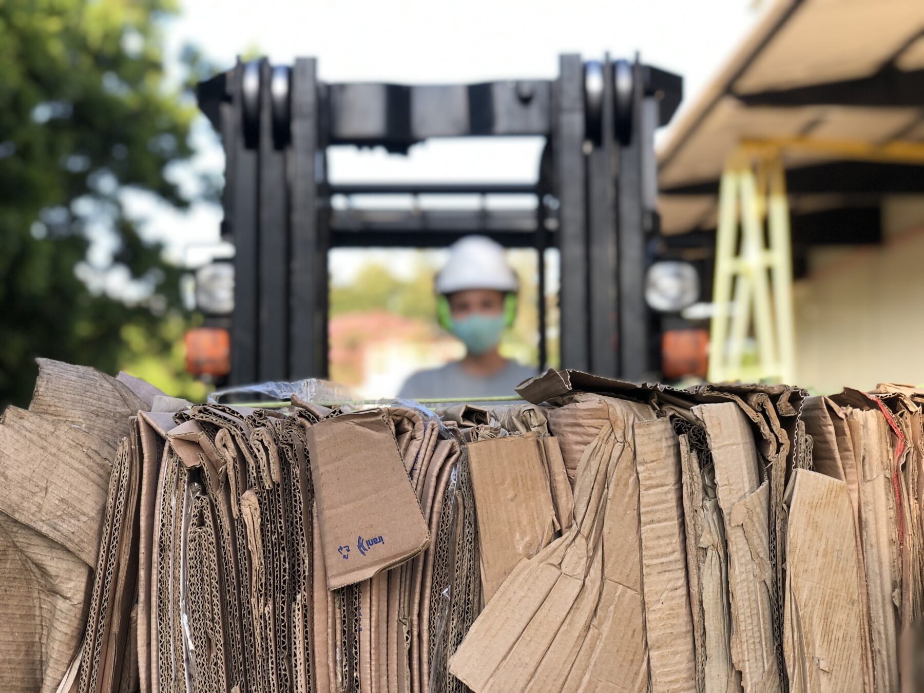 Por trás dos números: como a sustentabilidade se materializa nas linhas de produção da Special Dog