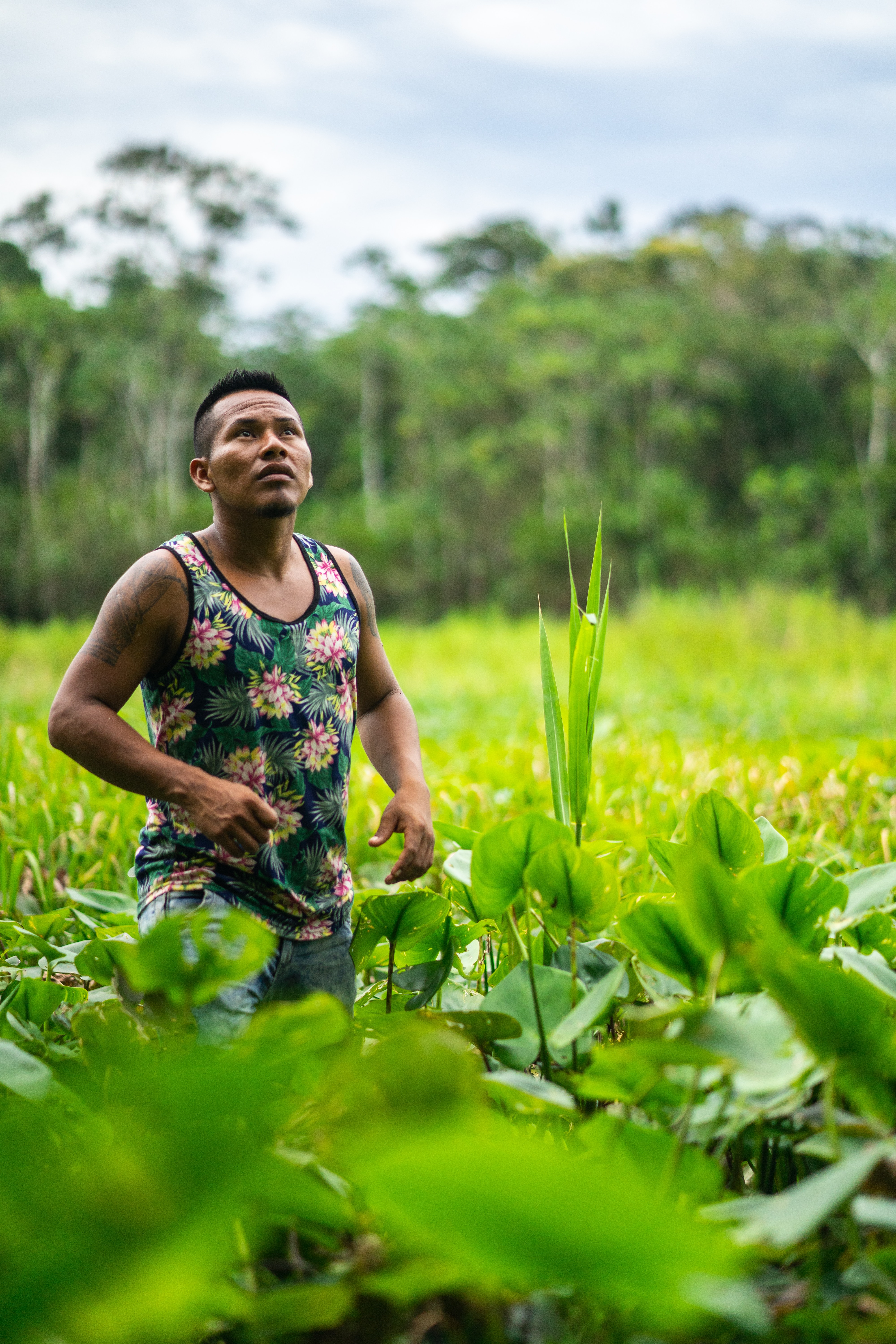 Saiba quem são os “Piratas do Carbono”: empresas que usam a compensação para enganar indígenas na Amazônia